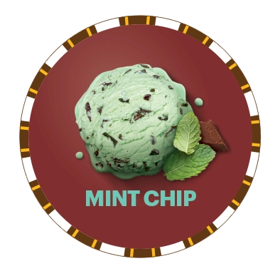 Dreyers™/Edy’s® Mint Chocolate Chip