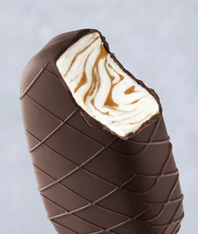 Haagen-Dazs non dairy coconut caramel ice cream bar