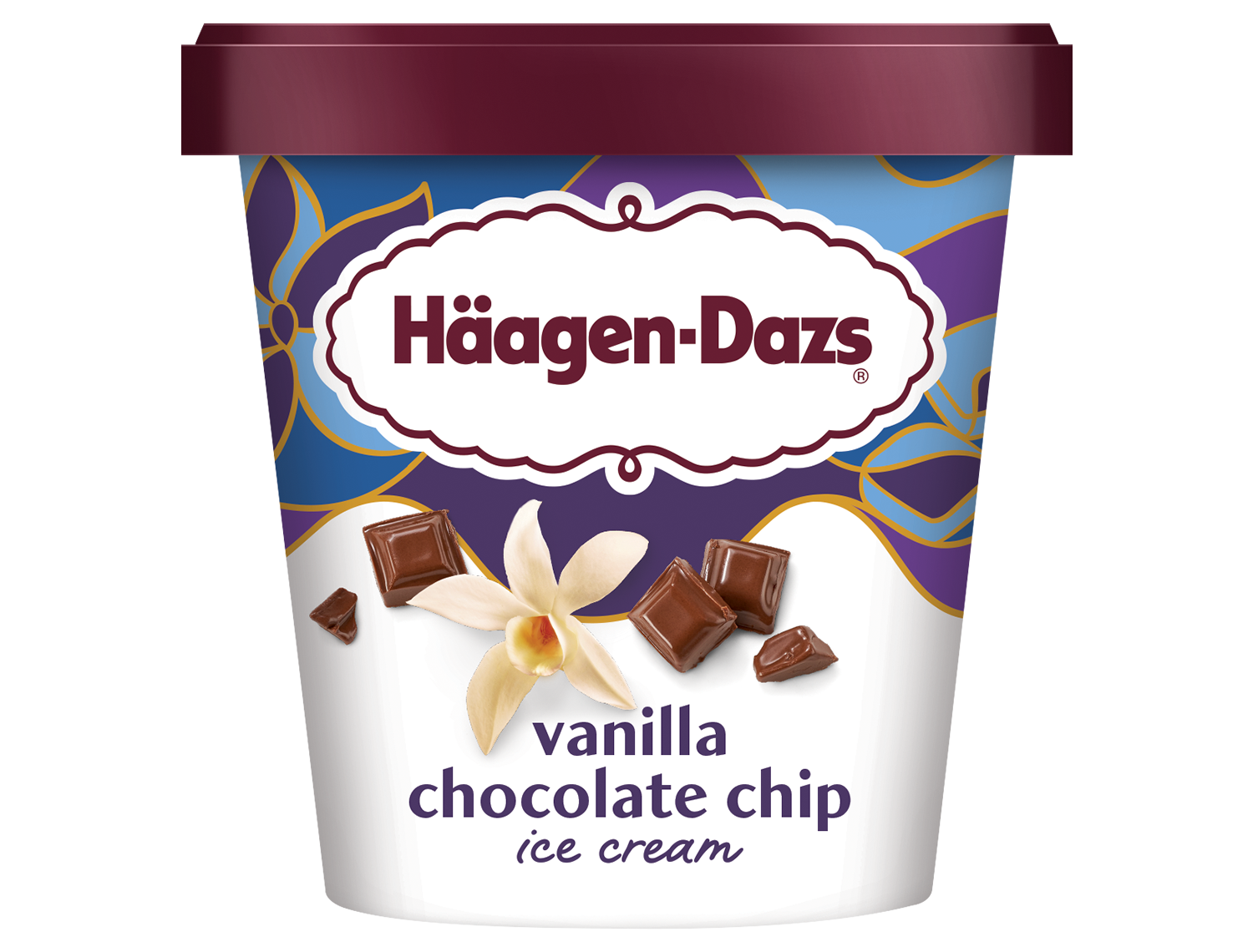 Haagen Dazs Vanilla Chocolate Chip Ice Cream 14 oz container.