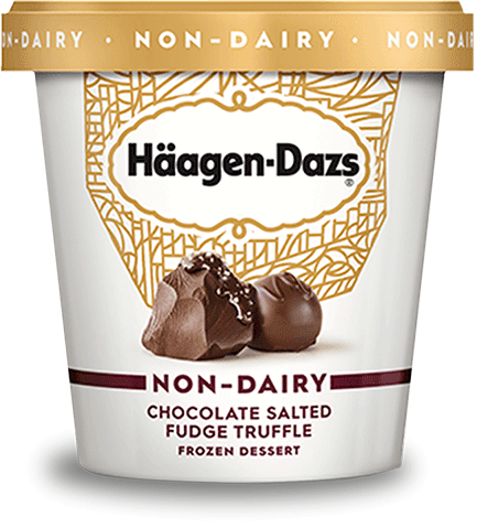 Pint of Haagen-Dazs non dairy chocolate salted fudge truffle frozen dessert