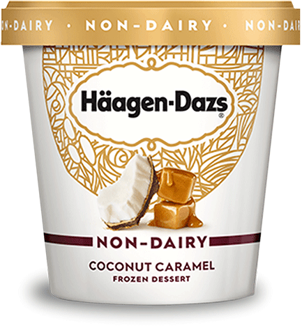 Pint of Haagen-Dazs non dairy coconut caramel frozen dessert