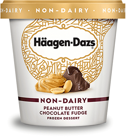 Pint of Haagen-Dazs non dairy peanut butter chocolate fudge frozen dessert