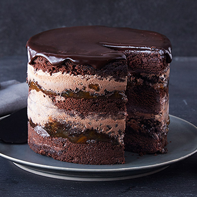 Haagen-Dazs layered chocolate ice cream cake